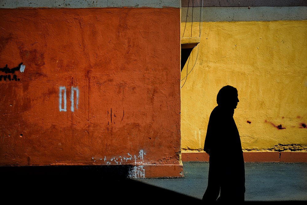 Photograph by sadegh vosoghi nazar