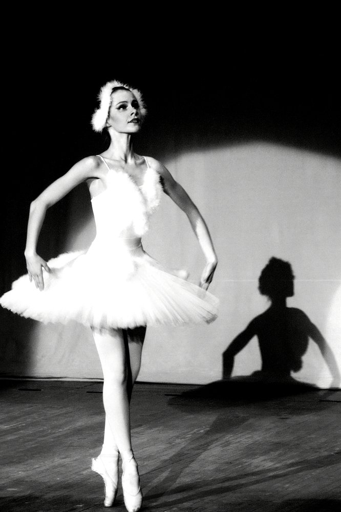 Лебединое озеро