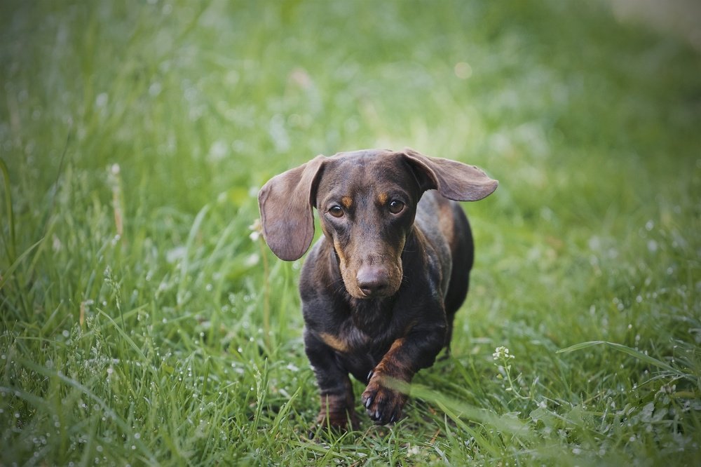 Photograph by Alexander Stoyanov
