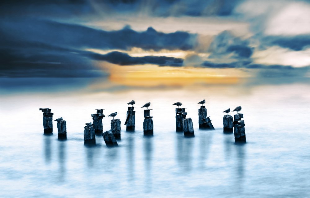 Фотография автора Vyacheslav Lozhkin