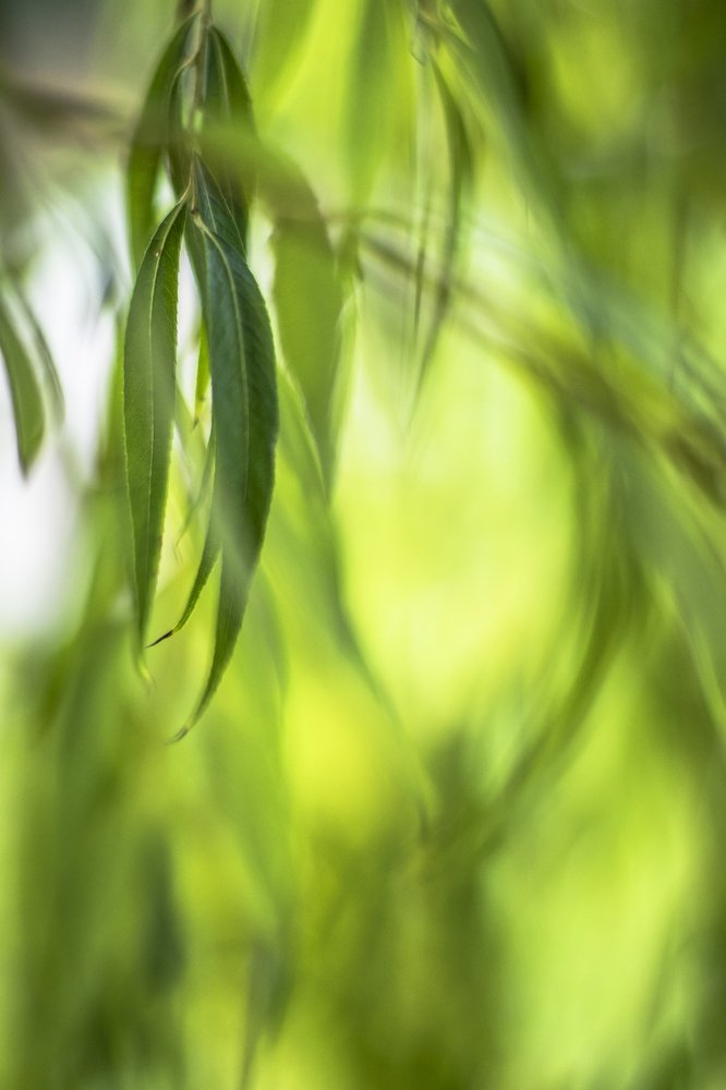 Фотография автора Lujza Stoklas