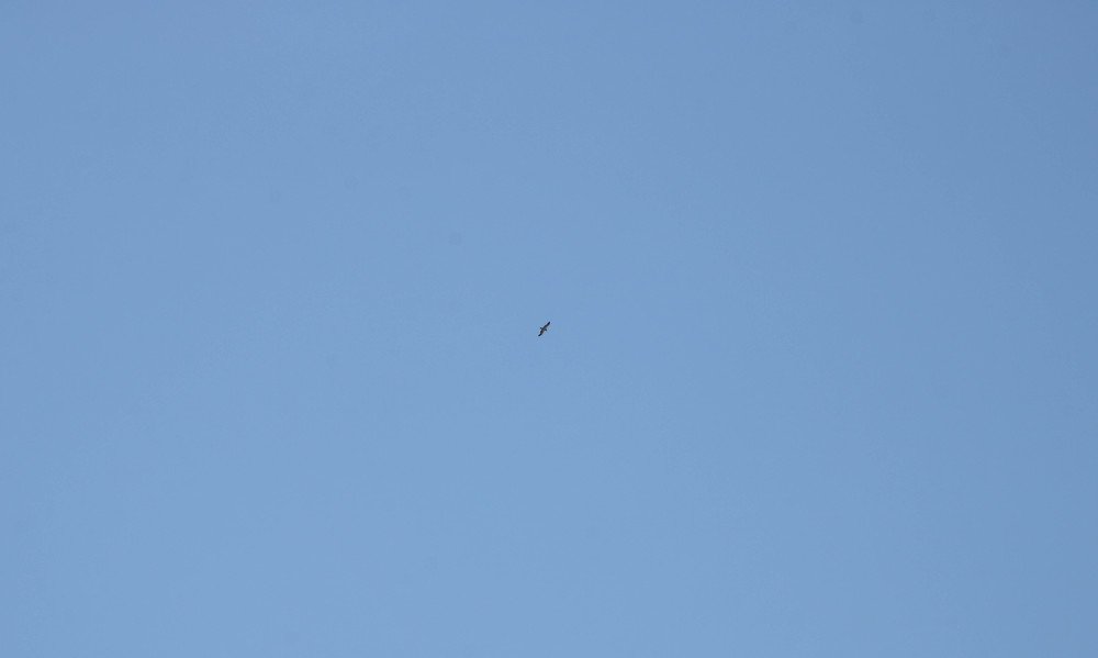 В просторах Земной атмосферы.