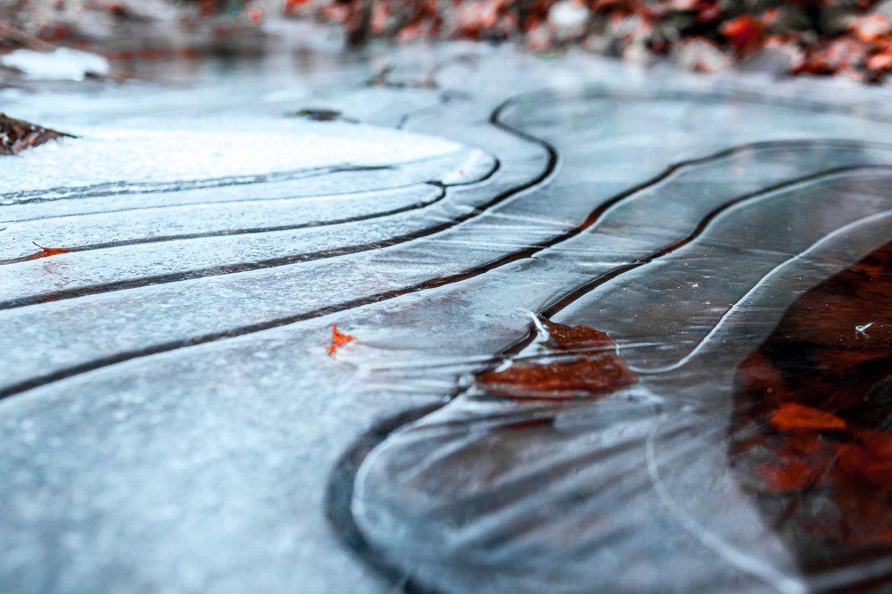 Фотография автора Vyacheslav Lozhkin