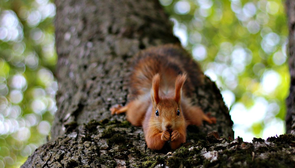 Photograph by Galina Tsmyg