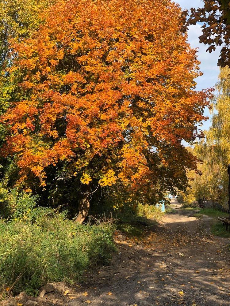 Photograph by Юлия Петракова