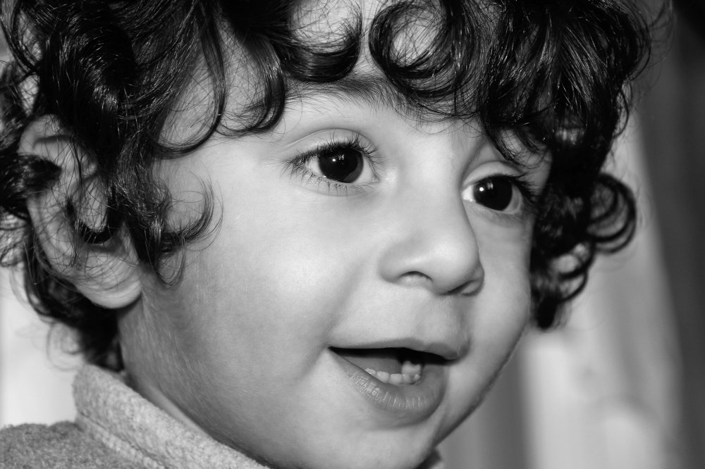 Photograph by Robert  M.