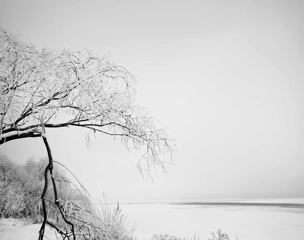 Photograph by Татьяна Сальникова