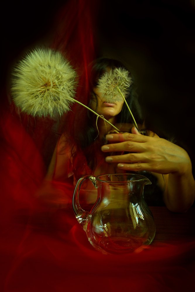 Вино из одуванчиков