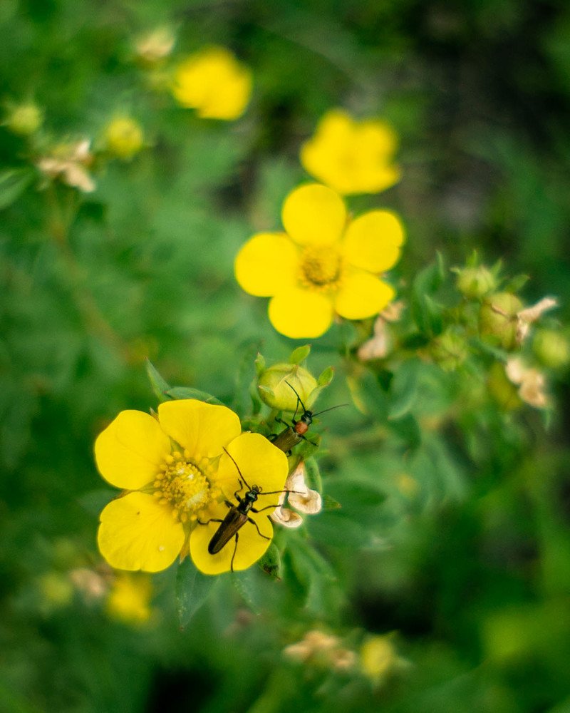 Photograph by Евгений Ярист