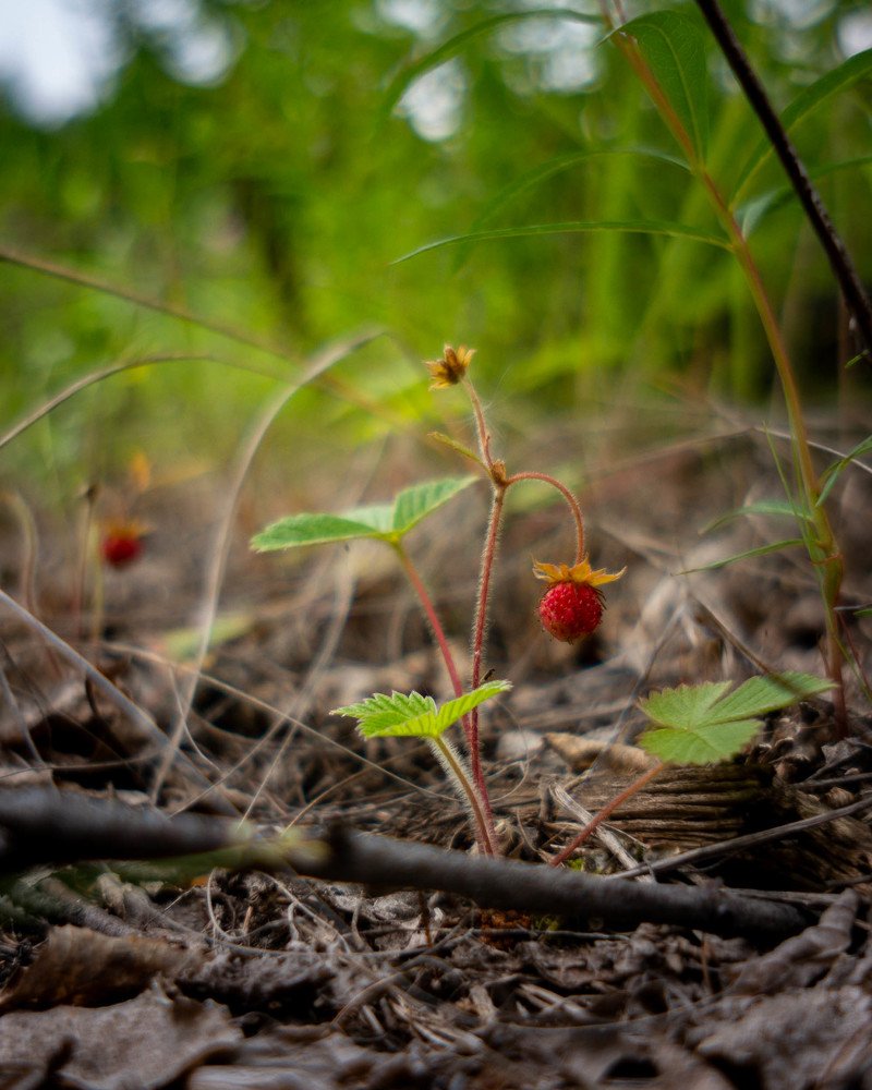 Photograph by Евгений Ярист