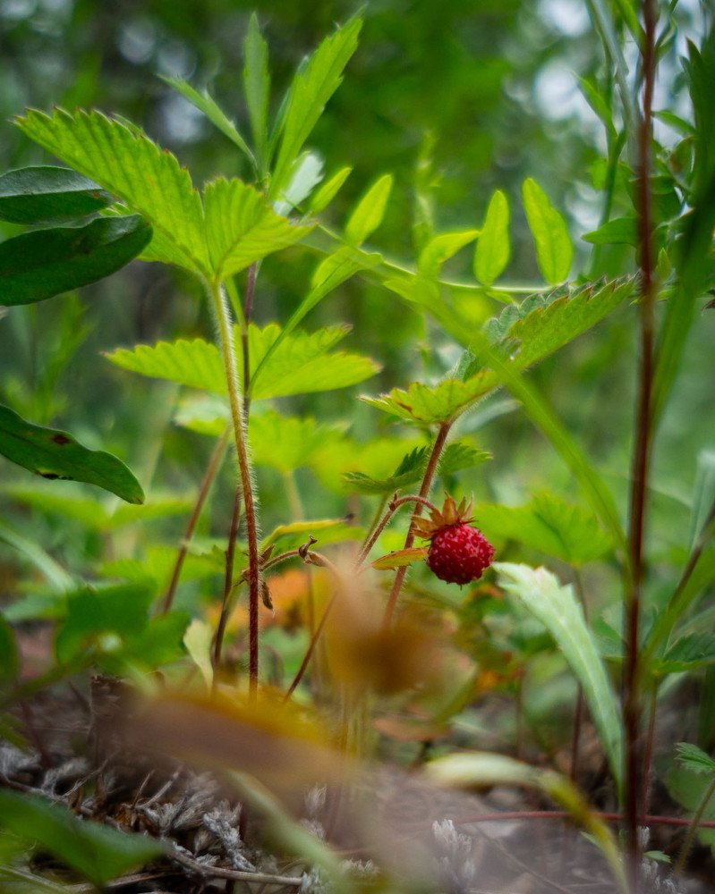 Photograph by Евгений Ярист