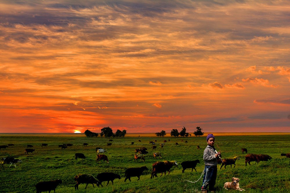 Photograph by Лебедев Юрий-Александрович