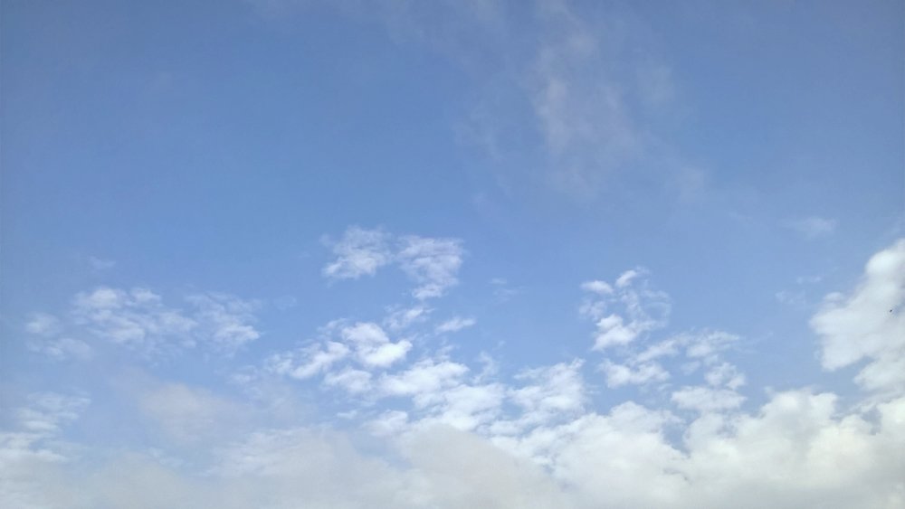 Фотография автора serubogo vicentes