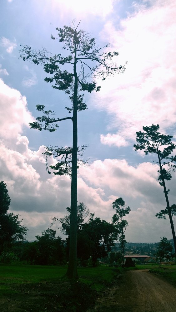 Фотография автора serubogo vicentes