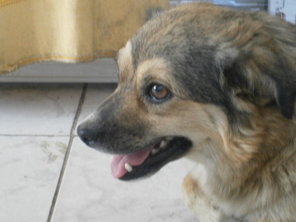 Photograph by Сергей Зиньковский