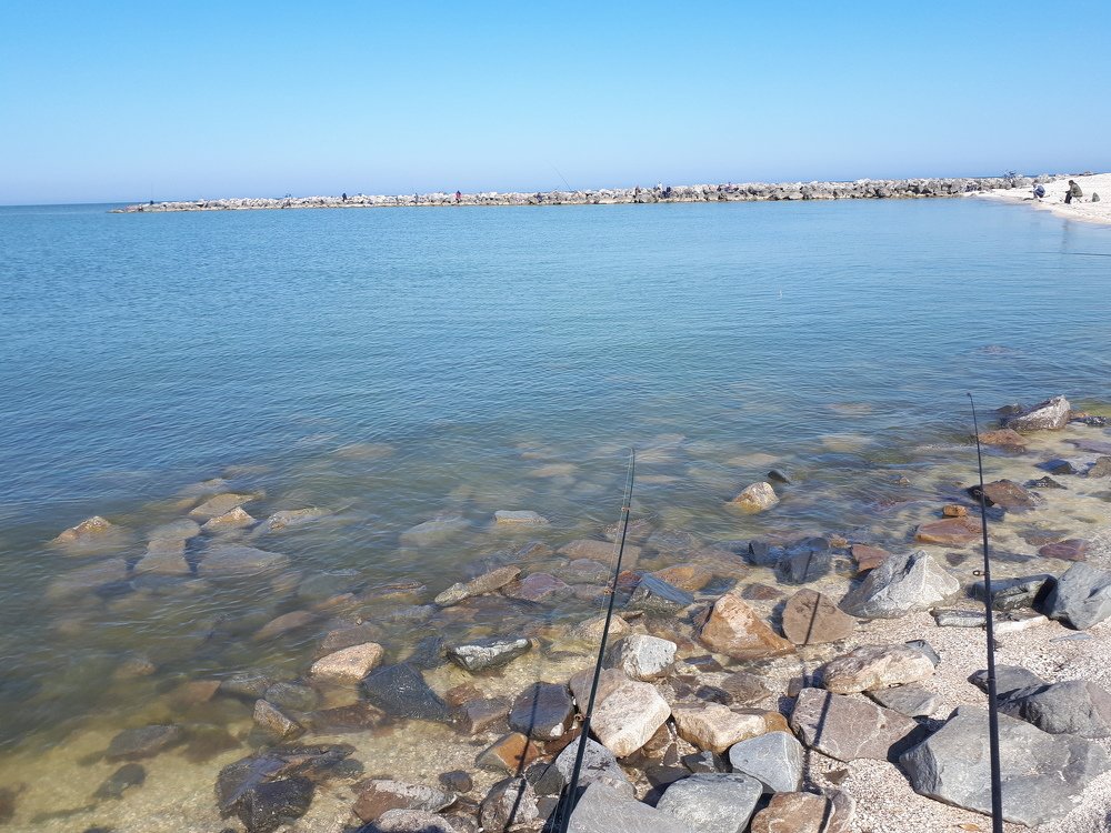 На Ейской косе