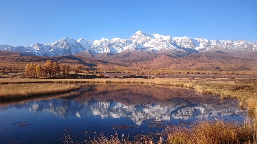 Photo #3682442