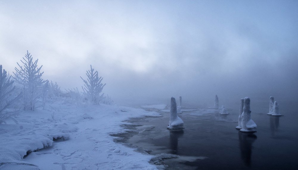 Photograph by Алексеев Артём