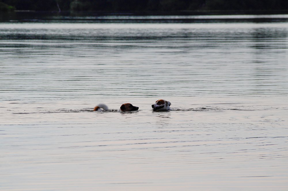 Photograph by Сергей Забиякин