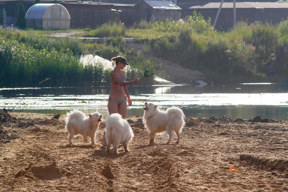 Photograph by Сергей Забиякин