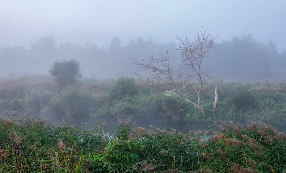 Photograph by Алексеев Артём