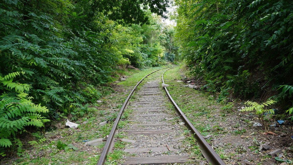 Photograph by Аркадий Смирнов