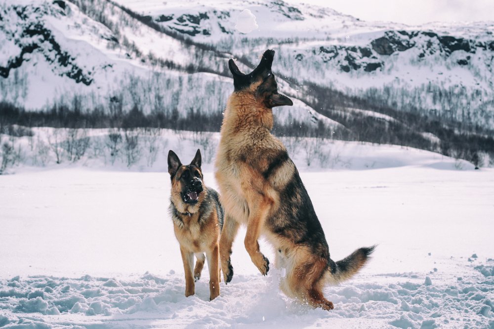 Photograph by ЕВГЕНИЙ СКАЛОЗУБОВ