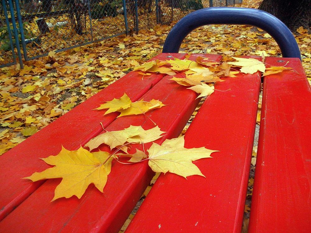 В парке на скамье