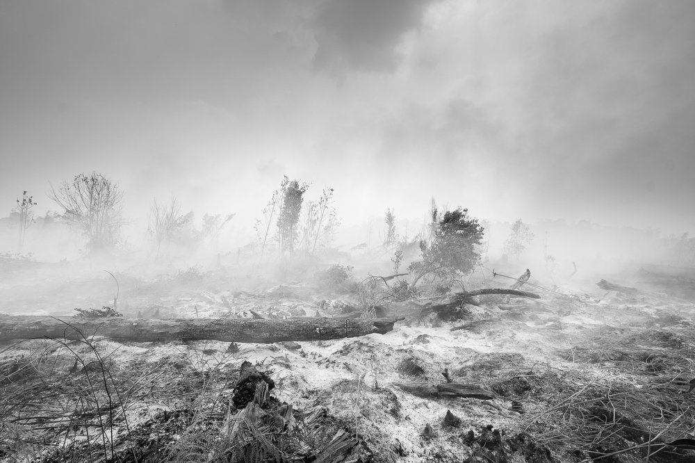 Photograph by  Deny Krisbiyantoro