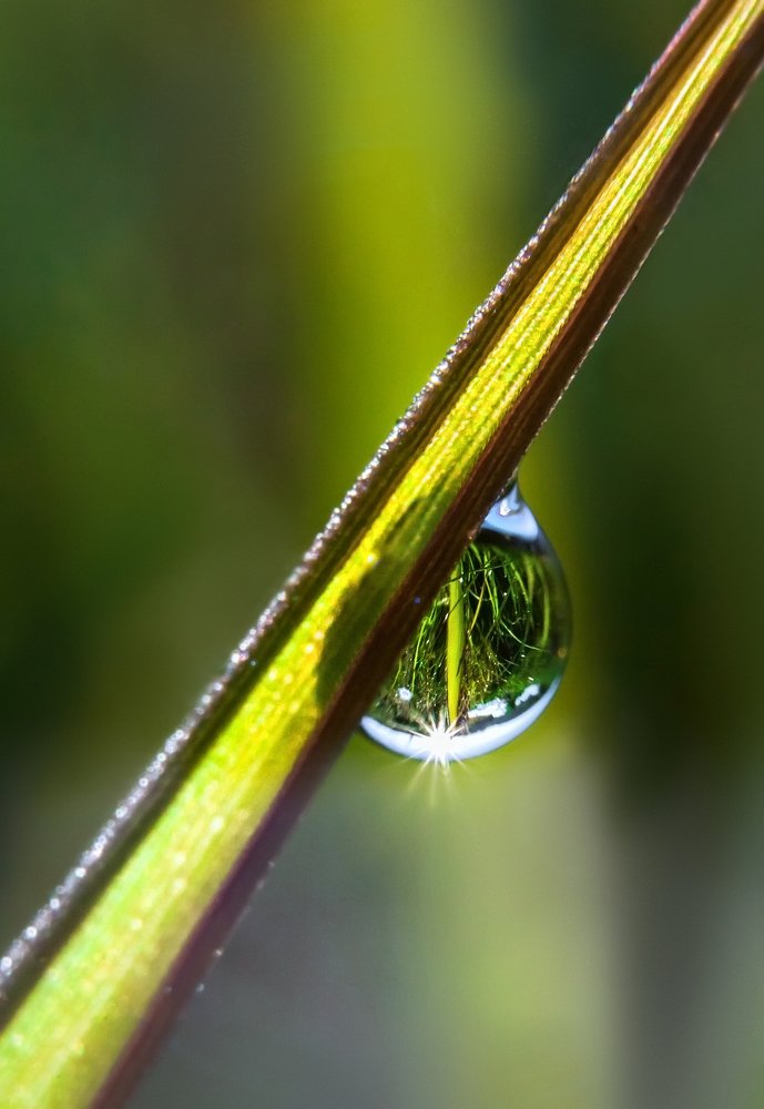 Фотография автора Vyacheslav Lozhkin