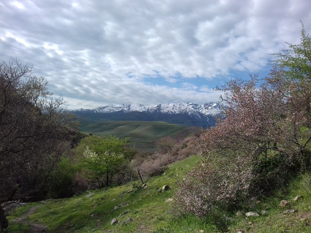 Photograph by Рамиль Бигеев