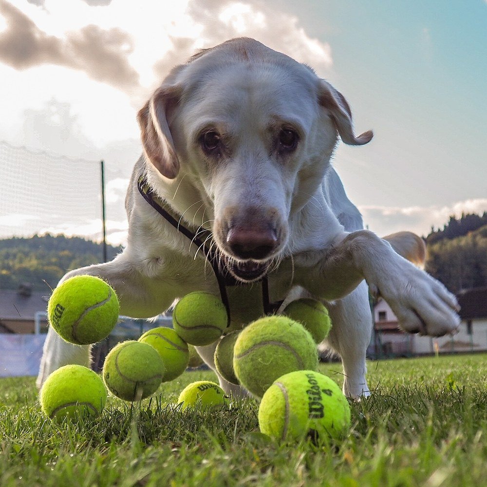 Photograph by Petr Kočica
