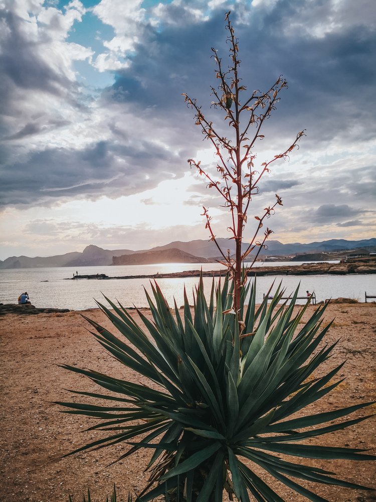 У самого чёрного моря