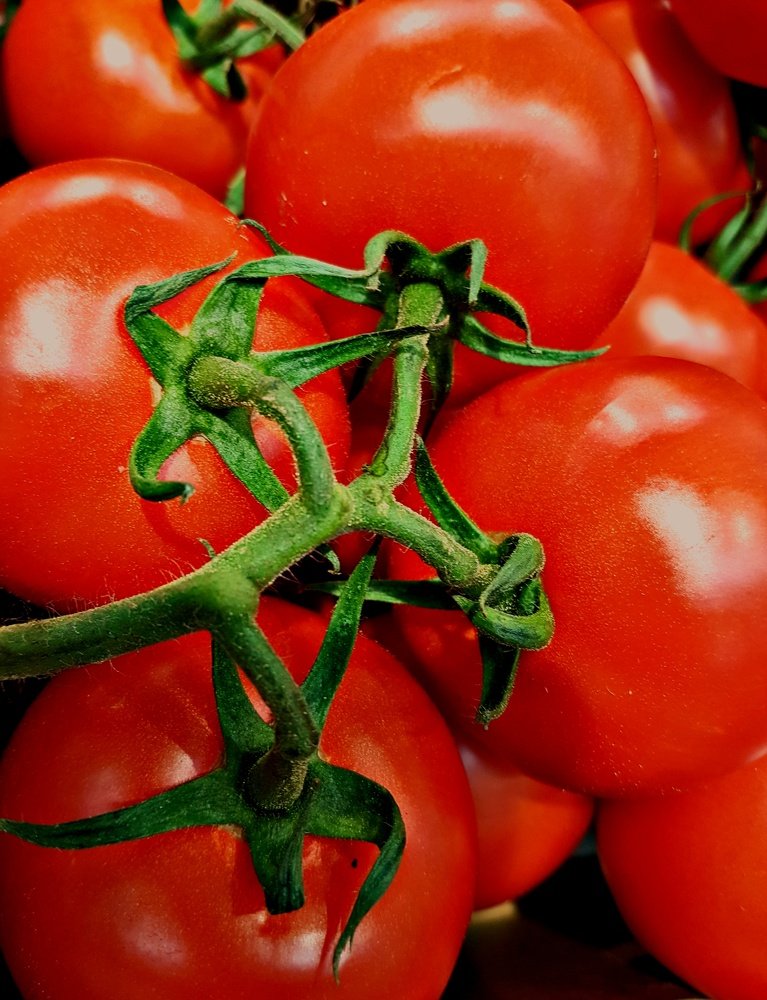 Photograph by Mojca Rebol