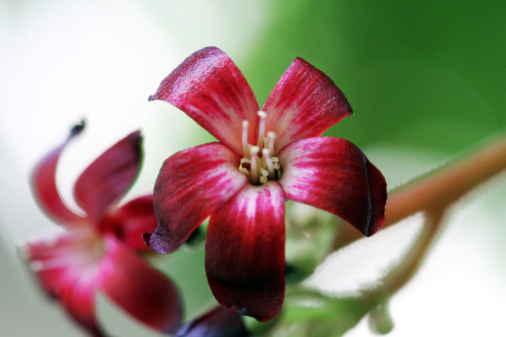 Фотография автора Tutang Hermawan (+62)812 2072-43 Asep