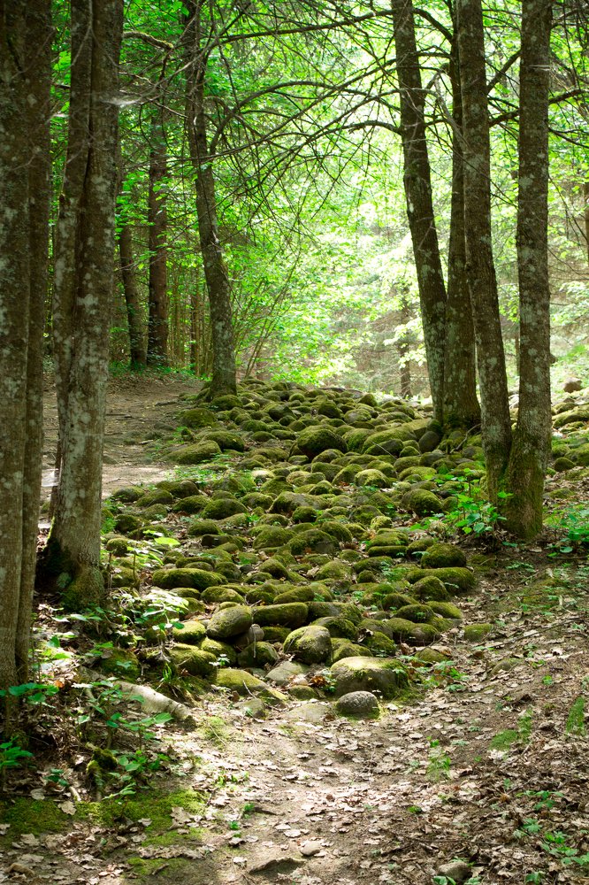 Photograph by Sandra Balodzedas