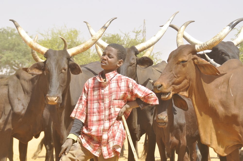 La chaleur du Hotungo