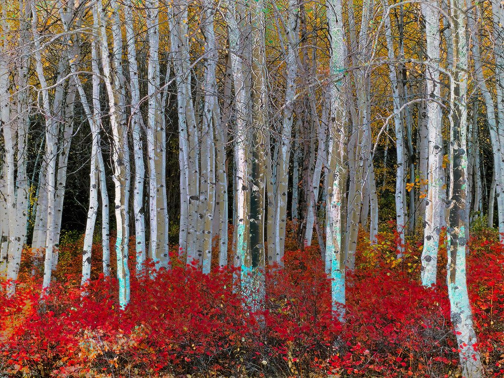 Фотография автора Дмитрий