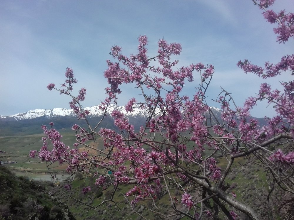 Photograph by Рамиль Бигеев