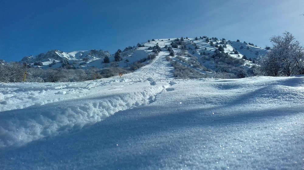 Photograph by Рамиль Бигеев