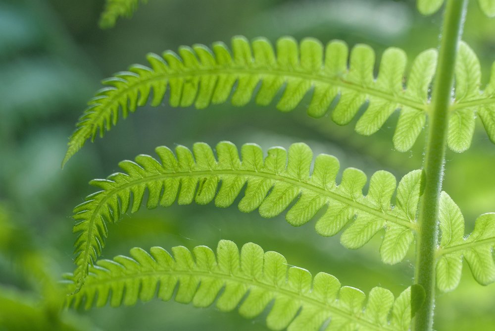 Photograph by Gabriel Wolf