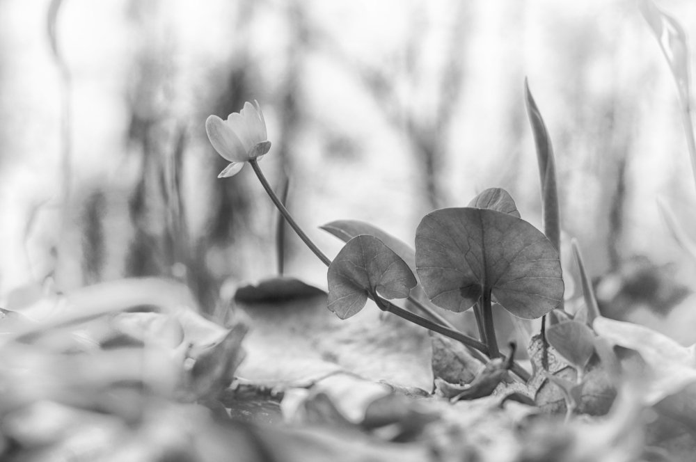 Photograph by Gabriel Wolf