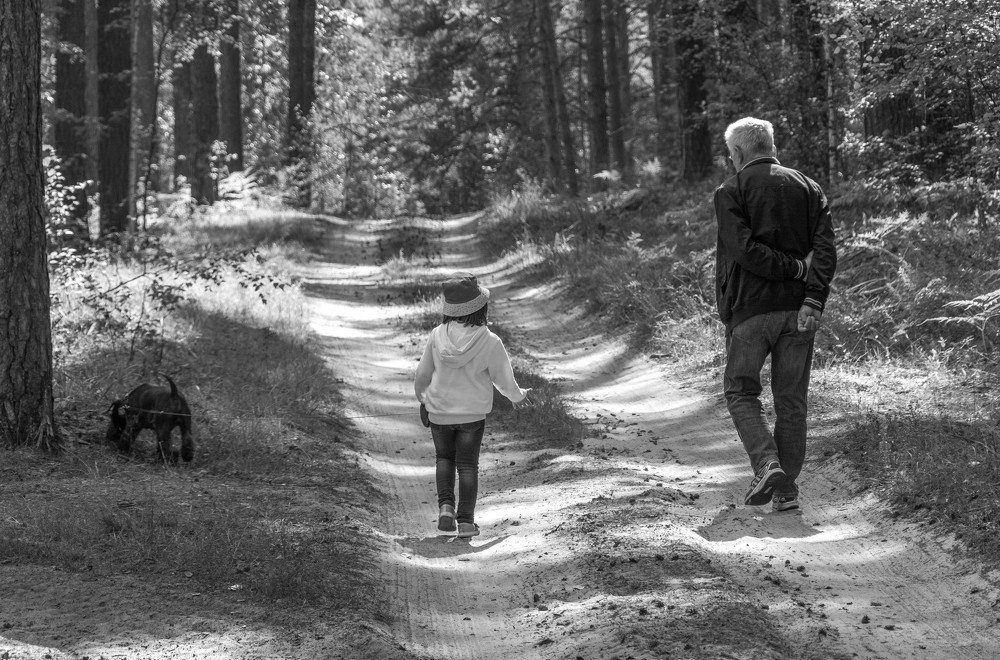 Photograph by Александр Халимов