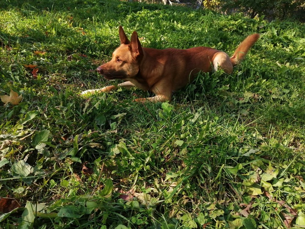 Photograph by Елена