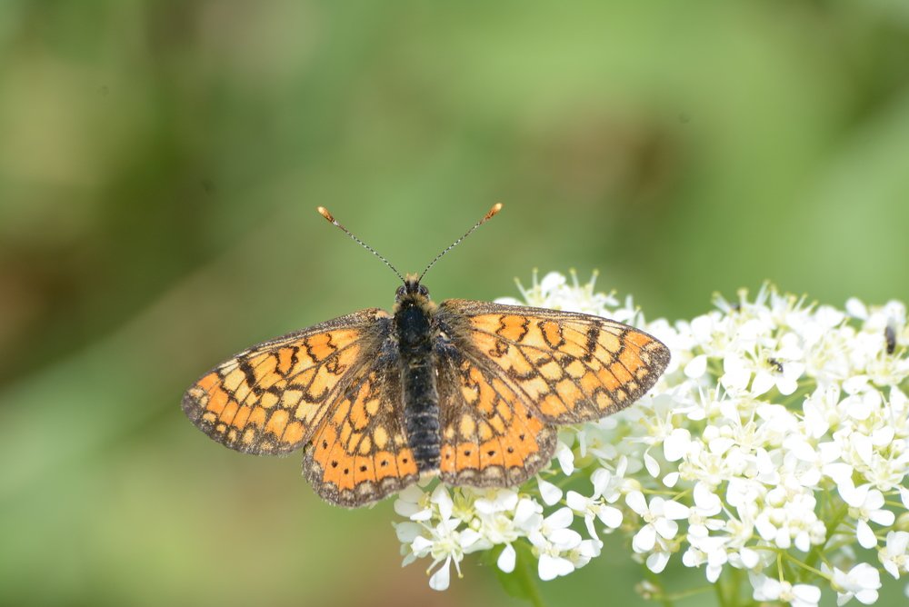 Photograph by Gülşen  Mutlu