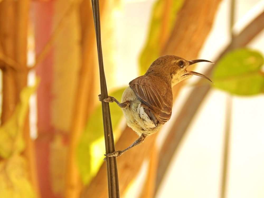 Photograph by Bhagirath Trivedi