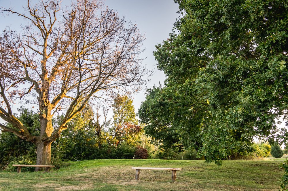 Фотография автора Marius Radu