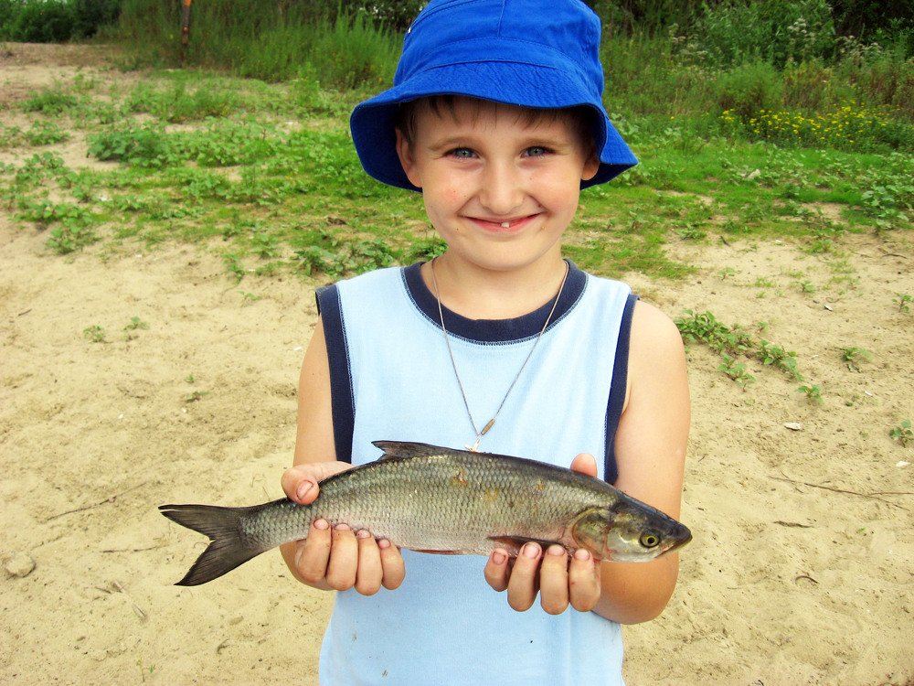 Первый Жерех