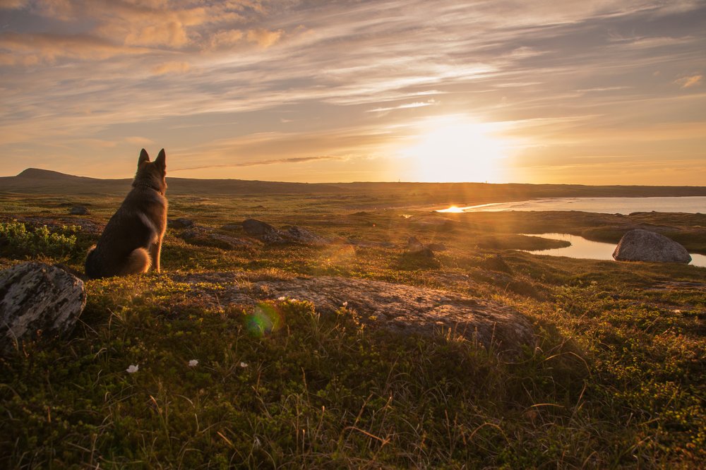 Полярный день на полуострове Рыбачий.