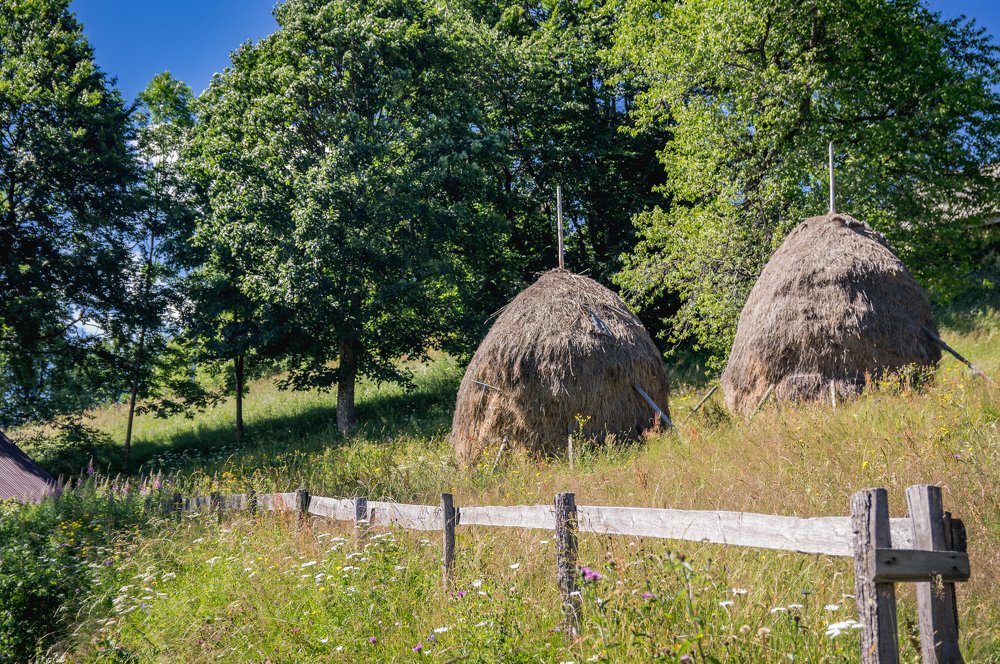 Фотография автора Marius Radu